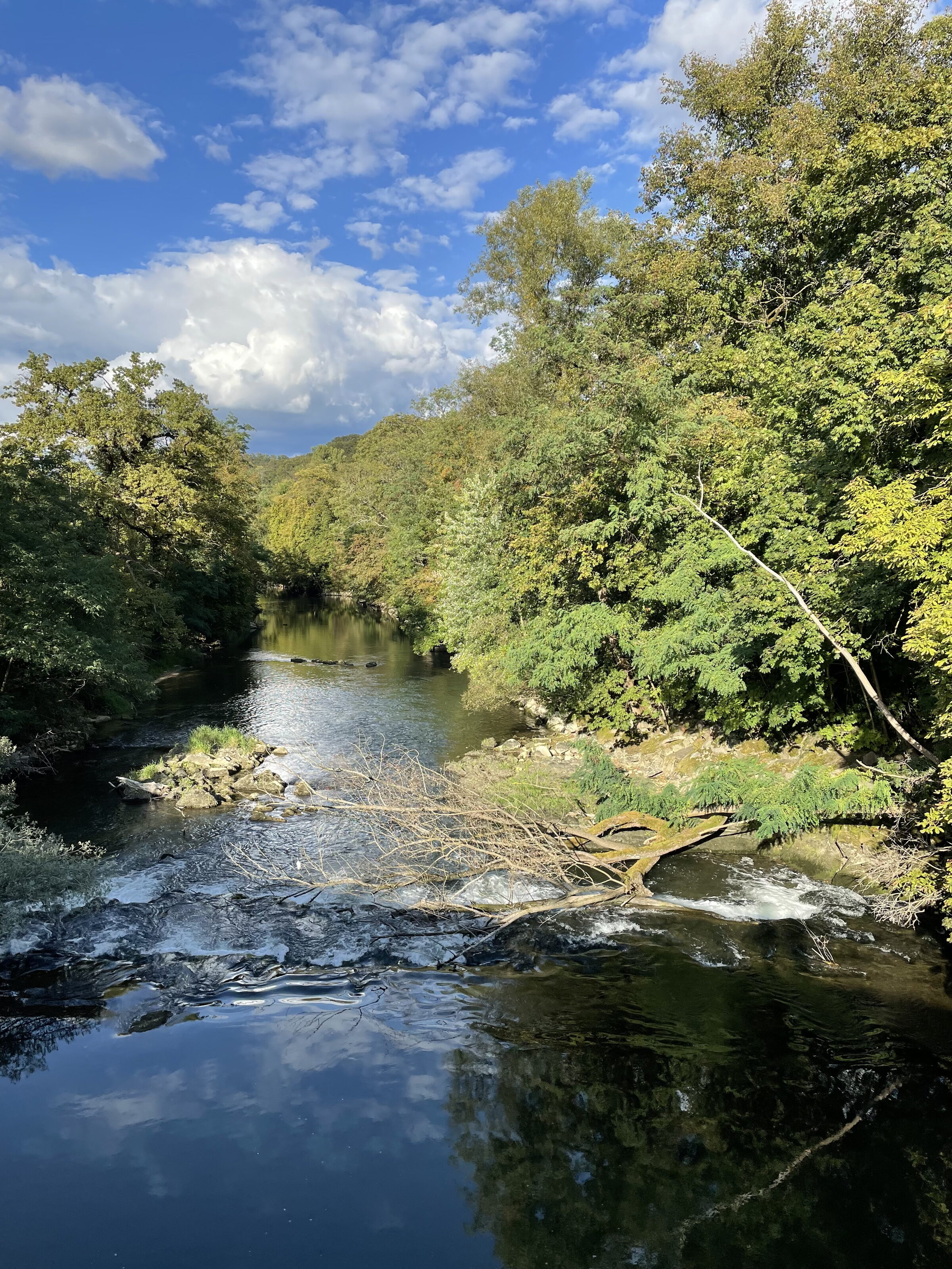 Mood: Relaxation and Energy – Flow